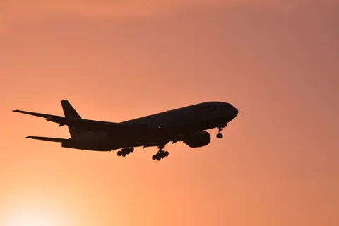 Airport escort